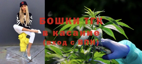 прущие крисы Балахна