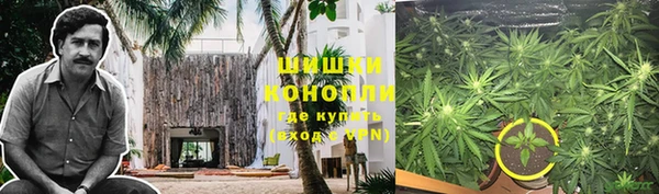 прущие крисы Балахна