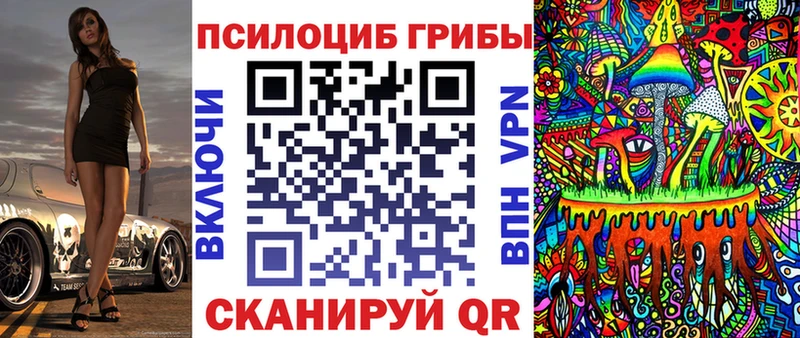 Псилоцибиновые грибы Psilocybe  OMG tor  Углич 